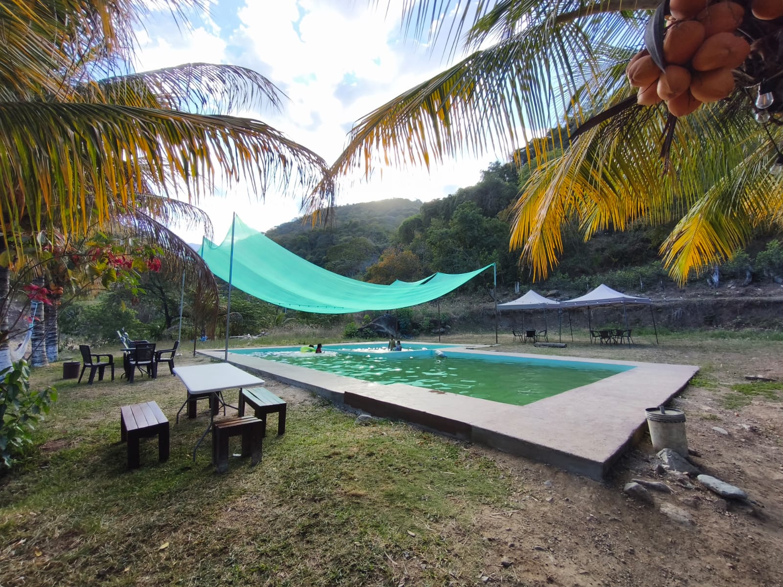 Piscina con palmeras y bañistas en Jaén Restobar